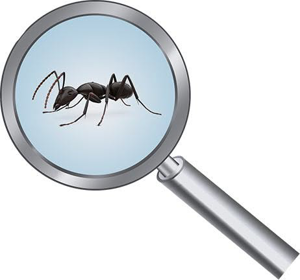 Rodent Control Cleveland