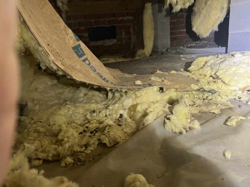 Rodent-damaged insulation and droppings in a crawl space, requiring pest control from Perry Crawl Space & Pest Control Solutions LLC in Chesapeake, VA.