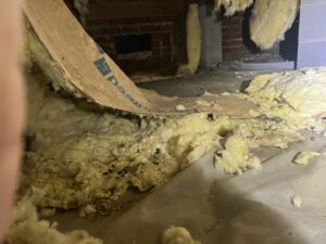 Rodent-damaged insulation and droppings in a crawl space, requiring pest control from Perry Crawl Space & Pest Control Solutions LLC in Chesapeake, VA.