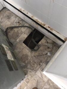 Rodent droppings scattered on a floor with an access hole, indicating a pest control service by 1St State Pest & Home Services in Middletown, DE.