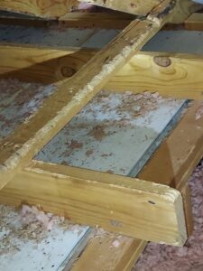 Rodent droppings and disturbed insulation in an attic, indicating a pest infestation handled by Good Riddance Rodents in North Austin, TX.