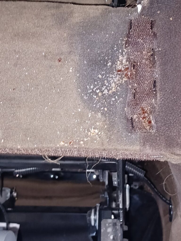 Rodent droppings or insect debris found on a car seat, indicating a pest problem addressed by A Better Way Pest Solutions LLC in Rock Hill, SC