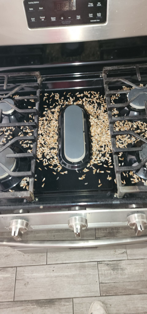 Rodent droppings and debris scattered across a stovetop, indicating a pest issue, addressed by Before and After Pest Control in Kenner, LA.