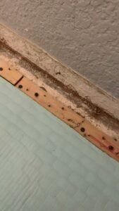 Close-up of rodent droppings and debris indicating a pest infestation, addressed by Green Machine Pest Control in Mesa, AZ.