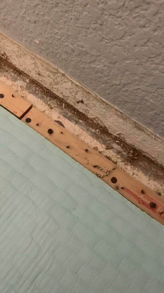 Close-up of rodent droppings and debris indicating a pest infestation, addressed by Green Machine Pest Control in Mesa, AZ.