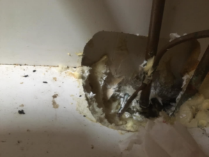 Rodent droppings and a sealed entry point in a wall, indicating pest control work by Jabs Blastem Termite & Pest Control in Albuquerque, NM.