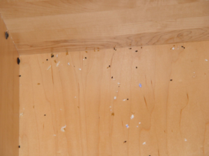 Evidence of rodent or insect droppings inside a cabinet, indicating a need for pest control from Allstate Animal Control in Elizabeth, NJ.