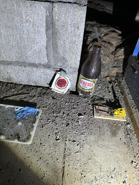 Rodent traps, including a snap trap and glue trap, set in a crawlspace by Sheridan Pest Control in Albany, NY.