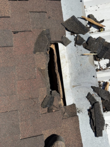 Close-up of roof shingles with a hole, showing damage from wildlife entry, addressed by AllGone Services in Euless, TX.