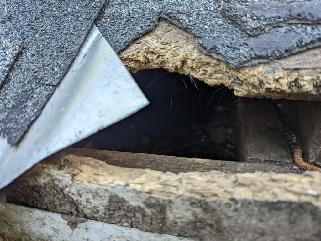 Close-up of a damaged roof edge with a gap under shingles, showing a potential wildlife entry point for Direct Pest Solutions Of Georgia, LLC in McDonough, GA.
