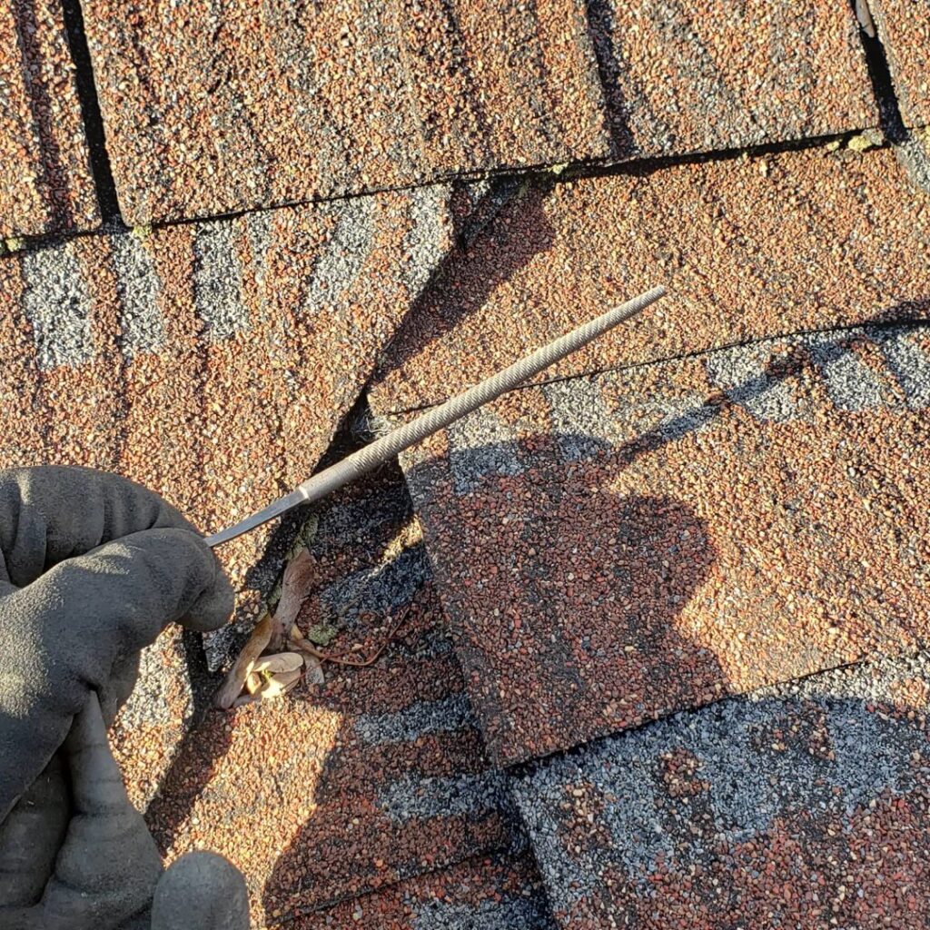 A gloved hand inspecting a roof shingle for potential wildlife entry points or damage by Serene Property Services LLC in Albany, NY