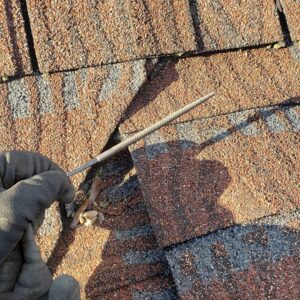 A gloved hand inspecting a roof shingle for potential wildlife entry points or damage by Serene Property Services LLC in Albany, NY