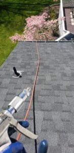 A pest control sprayer being used on a residential roof for treatment by Serene Property Services LLC in Albany, NY