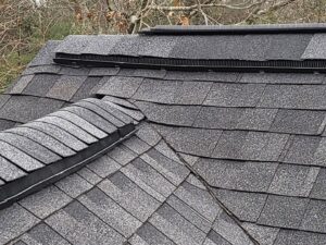 Roof ridge vents, often inspected and secured for wildlife exclusion by New England Wildlife Control in Salem, NH.