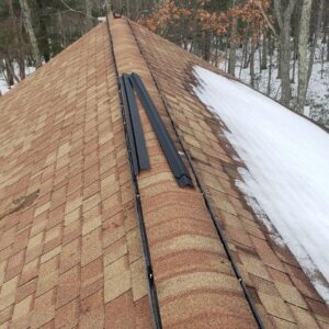 Wildlife exclusion strips installed along a roof ridge to prevent animal entry by Serene Property Services LLC in Albany, NY
