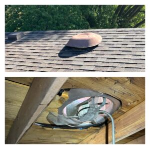 Roof vent with installed mesh for wildlife exclusion by Critter Control of Springfield, MO