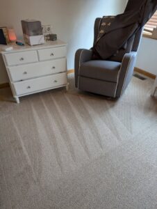 A room carpet showing distinct cleaning lines after service by Legendary Carpet Care+ in Toledo, OH.