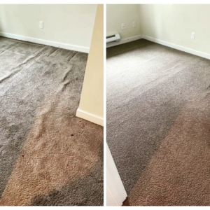 Before and after comparison of a dirty room carpet cleaned by All Kleen Carpet Cleaning in Mountlake Terrace, WA.