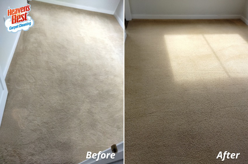 Before and after comparison of a clean carpet in a room by Heaven's Best Carpet Cleaning in Wasilla, AK.