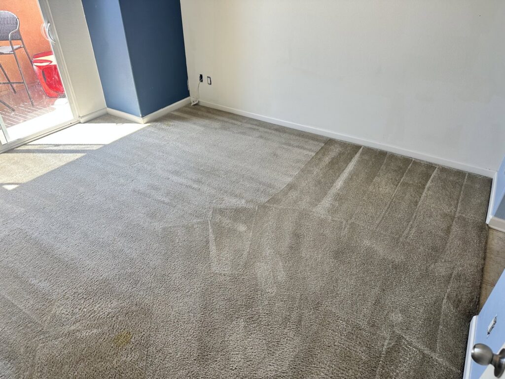 A room carpet being cleaned, showing the clear difference by Mexsteam in San Diego, CA