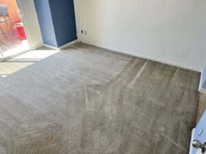 A room carpet being cleaned, showing the clear difference by Mexsteam in San Diego, CA