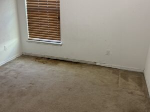 A spacious room with newly installed light brown carpet by First Quality Carpets Inc. in Orlando, FL