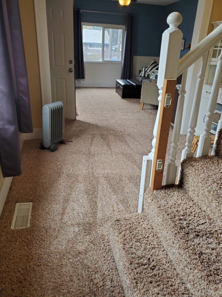A carpeted room displaying fresh cleaning lines from Achilles Carpet Cleaning in Vancouver, WA.