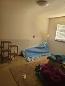 A room showing old brown carpet before replacement, a common service by Home Dynamics Flooring LLC in Harrisburg, SD.