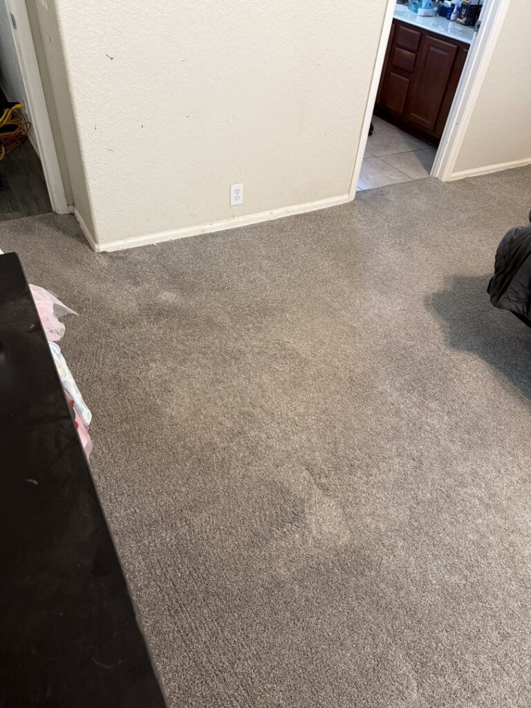 A room showing a dirty carpet with visible traffic patterns before professional cleaning by Heaven's Best Carpet Cleaning in San Antonio, TX.