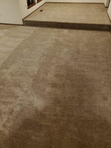 A room featuring a fresh light brown carpet installation, including a step, by McFarland's Flooring EnCounters in Tacoma, WA.