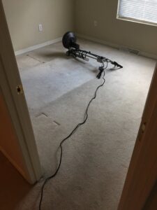 A rotary carpet cleaning machine in action, showing cleaned and uncleaned carpet by C&C Carpet Care LLC in Columbia, MO.