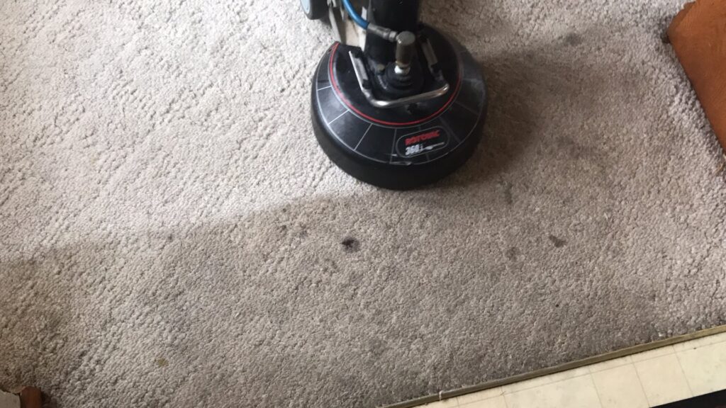 A rotary carpet cleaning machine in action, cleaning a dirty carpet and leaving a clean path for stpaulbestcarpetcleaners.com in Saint Paul, MN.