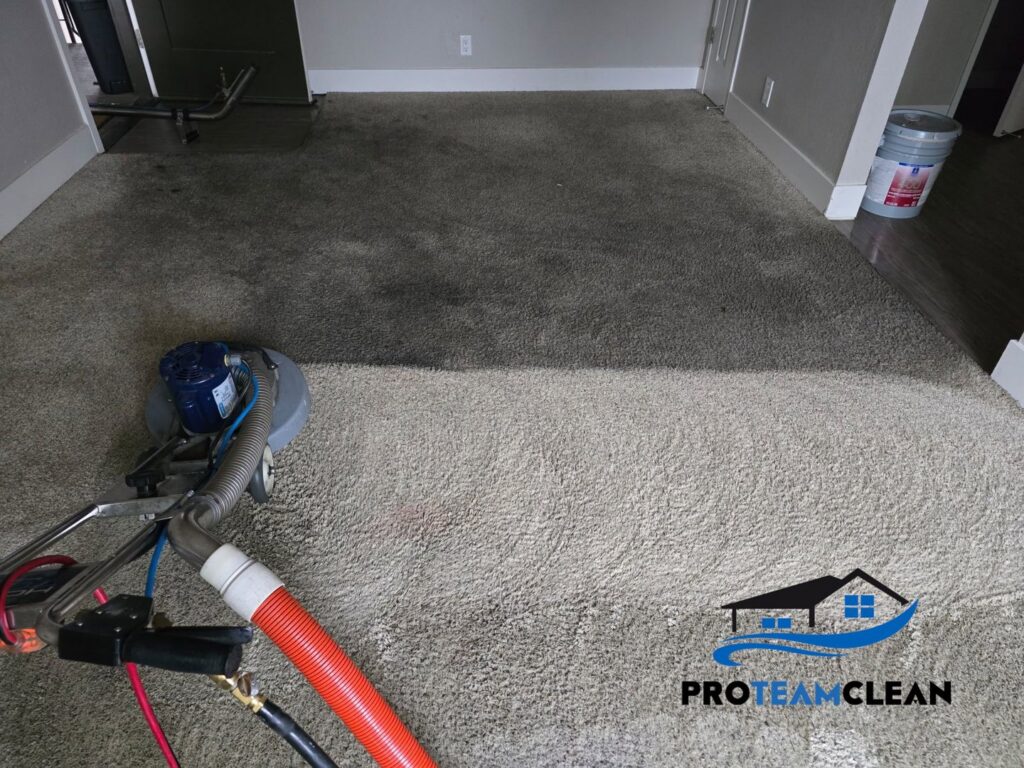 A rotary carpet scrubber in use, cleaning a dirty carpet by Pro Team Carpet Cleaning Sacramento, CA.