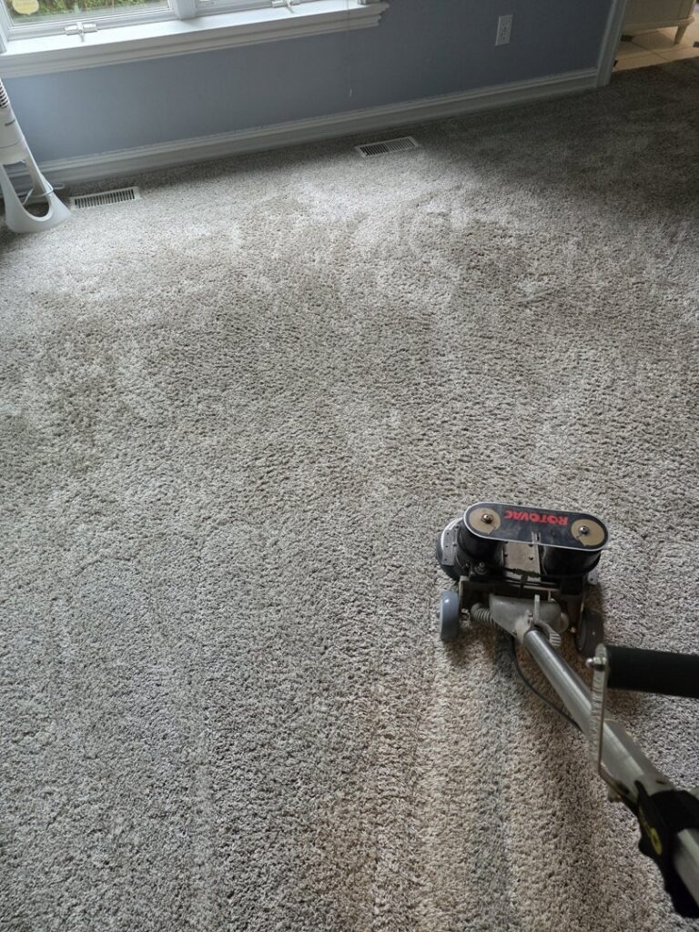 A Rotovac machine actively cleaning a light-colored carpet, leaving clean lines, by All Seasons Carpet Cleaning in Loves Park, IL.