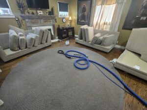 A large round area rug with cleaning hoses, indicating a carpet cleaning job by Pure Steam Carpet Cleaning in Nashville, TN