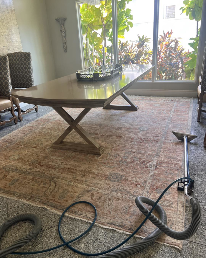 Professional rug cleaning equipment on a patterned rug by Laredo Carpet Cleaning Services in Laredo, TX.