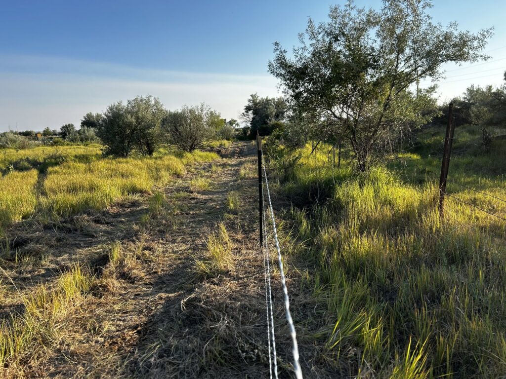 Rural multi-strand wire fence installation by Cowboy State Fencing LLC in Riverton, WY.