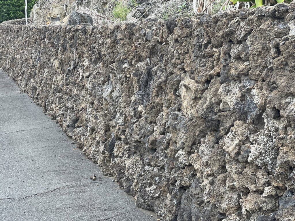 A rustic stone rockwall providing a natural boundary, built by Fence, Gates and Rockwalls in Kailua-Kona, HI