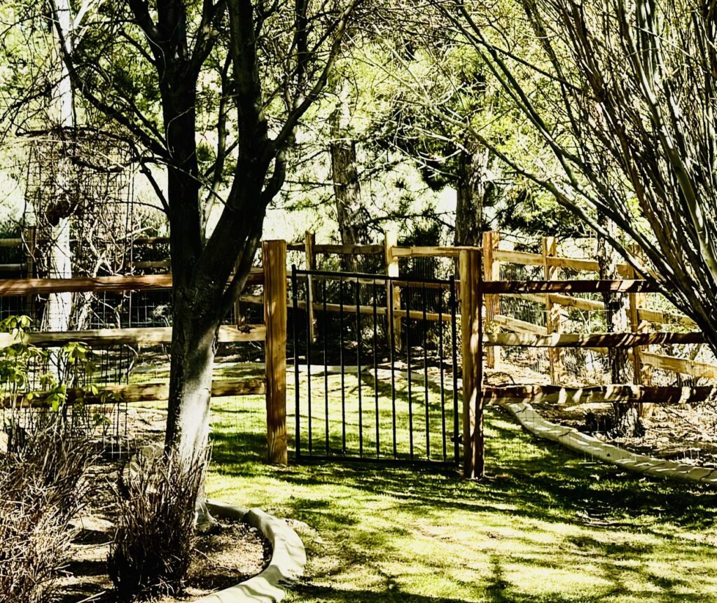 A rustic wooden fence with a black metal gate, installed in a natural landscape by Mule Fence Inc. in Sparks, NV.
