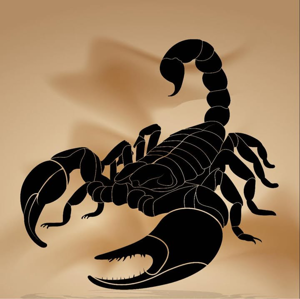 Sandstorm pest Control