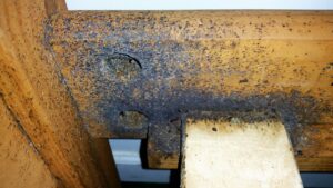 Severe bed bug infestation with numerous fecal stains and shed skins on a wooden bed frame, a job for Himalaya Pest Control in Alpharetta, GA.