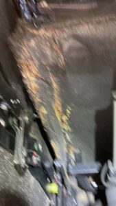 A severe bedbug infestation with numerous bugs and droppings on a dark surface, indicating a pest control job by Northwest Bedbug Company in Spokane, WA.