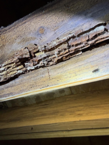 Severely damaged wooden beam, likely from termites or wood rot, found during a pest inspection by Ultra Pest in Mt. Pleasant, SC