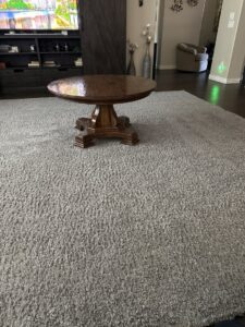 A shaggy living room carpet with visible cleaning lines after service by Healthy Living Carpet & Tile Cleaning in Peoria, AZ.