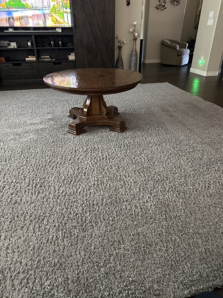 A shaggy living room carpet with visible cleaning lines after service by Healthy Living Carpet & Tile Cleaning in Peoria, AZ.