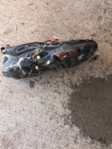 A shoe covered in insect eggs, larvae, and webbing, indicating a severe pest control problem for Bug Busters LLC in Norman, OK.