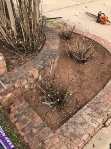 A brick-edged garden bed with recently trimmed shrubs and a chainsaw in the background, showing work by A & A Lawn Care Service LLC in Edmond, OK.