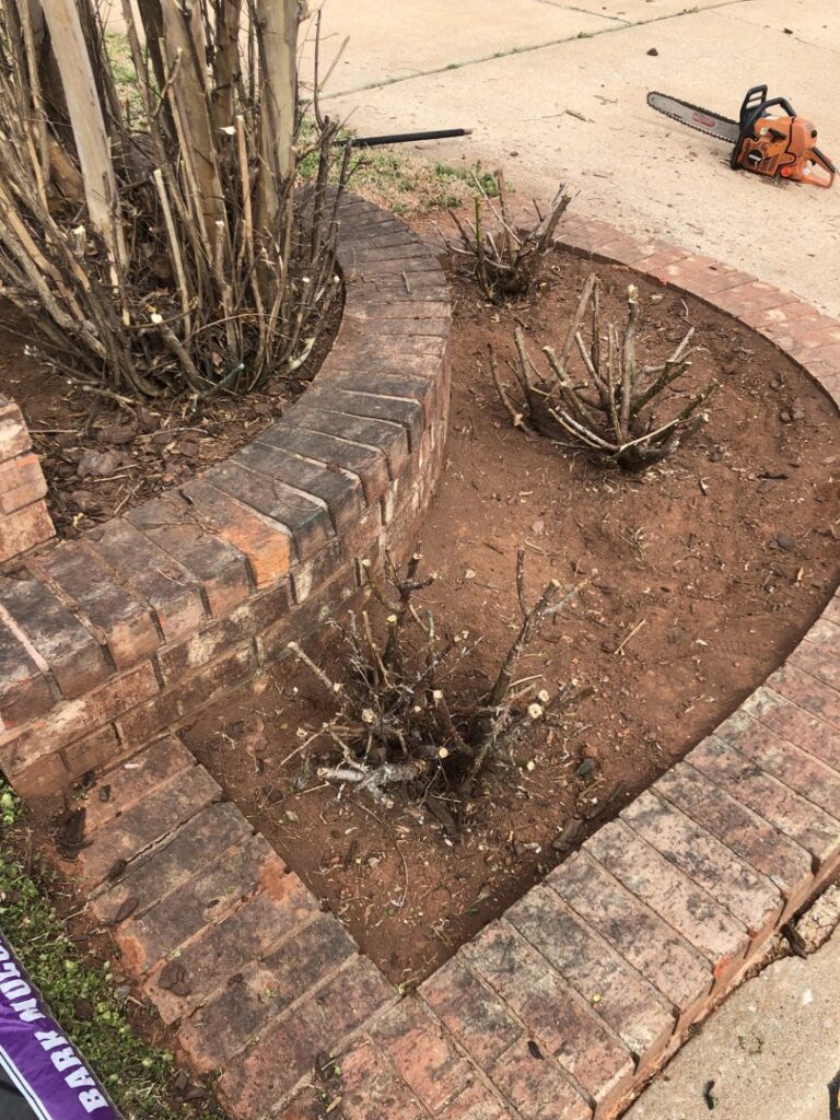 A brick-edged garden bed with recently trimmed shrubs and a chainsaw in the background, showing work by A & A Lawn Care Service LLC in Edmond, OK.