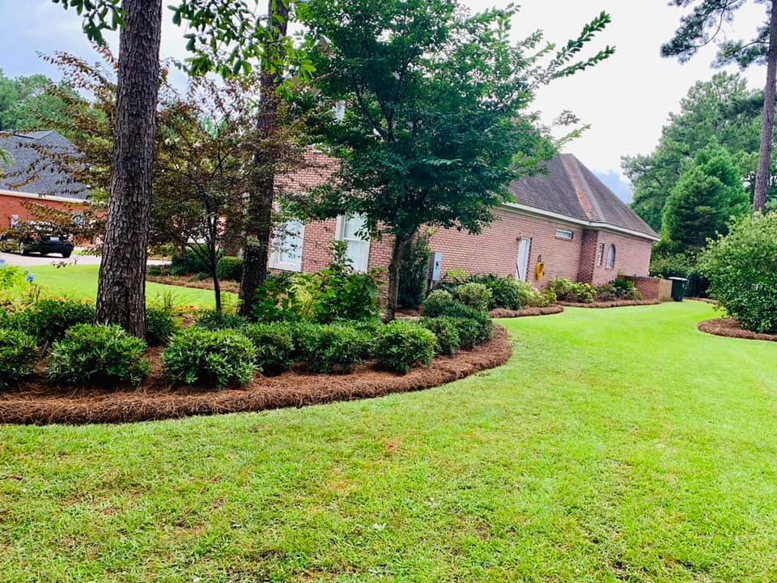 A meticulously maintained side yard with lush green grass and manicured shrubs by NewLeaf Lawn Care LLC in Dothan, AL.