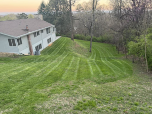 A sloped backyard lawn with unique mowing patterns, expertly maintained by Hancock Lawn Care in Knoxville, TN.